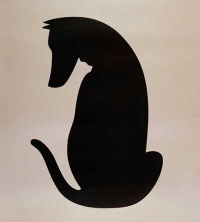 perro-gato