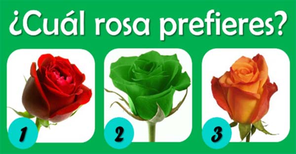 3-rosas2